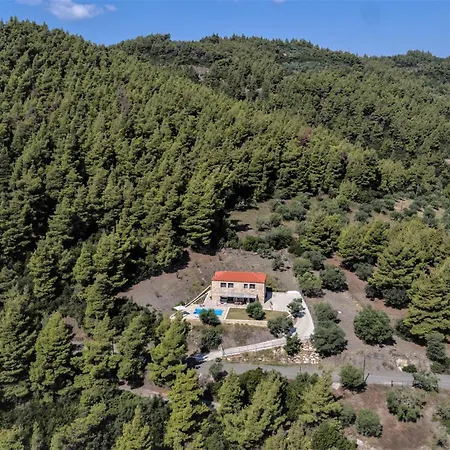 The Evergreen Pine * Agios Nikolaos (Chalkidiki)