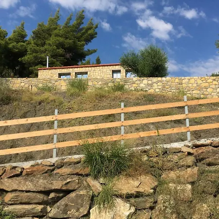 The Evergreen Pine Villa *