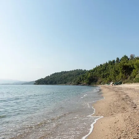 The Evergreen Pine Agios Nikolaos (Chalkidiki)