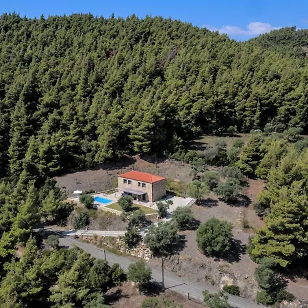The Evergreen Pine * Agios Nikolaos (Chalkidiki)