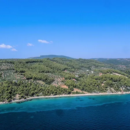 The Evergreen Pine * Agios Nikolaos (Chalkidiki)